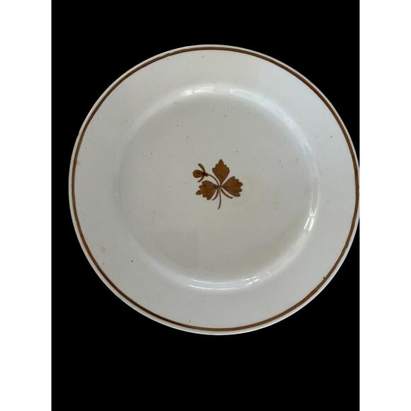 Royal Ironstone China Alfred Meakin England Plate Copper Tea Leaf PatternAntique - Picture 5 of 5
